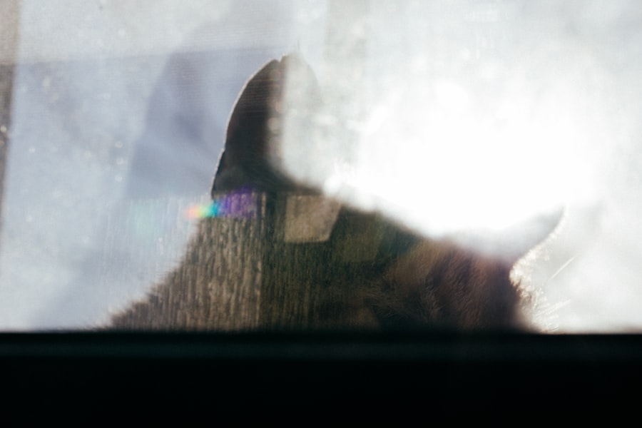 Nellis AFB alien base secret