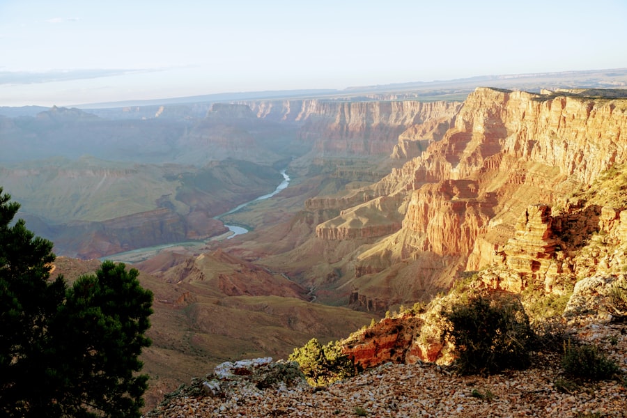 grand canyon discoveries