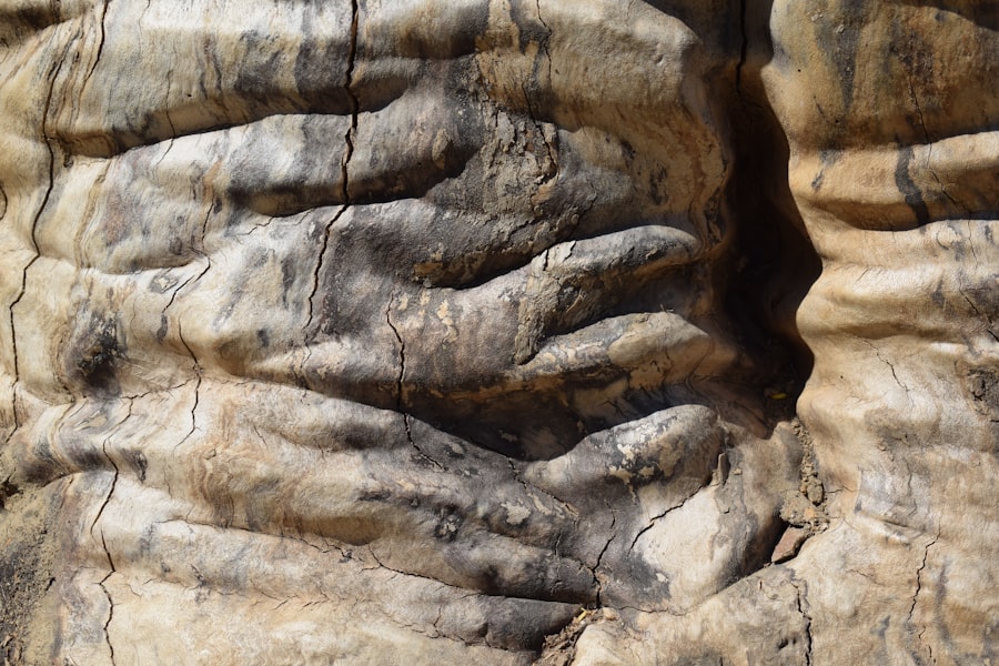 grand canyon mummies