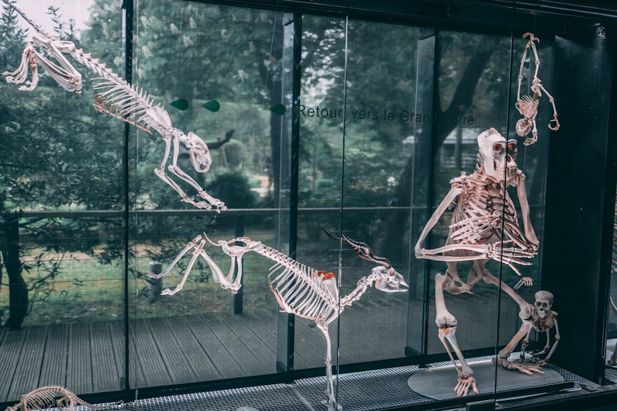 smithsonian giant skeletons