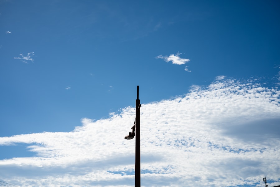 government, pole shift