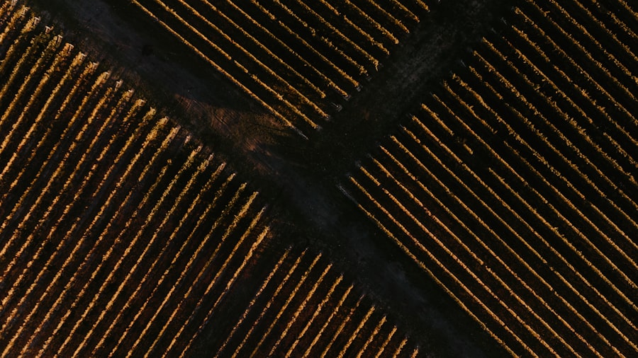 jupiter nudging power grid