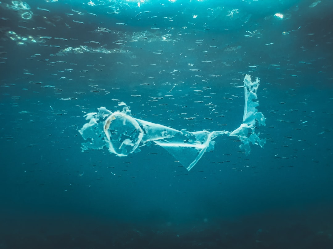 Photo UAP underwater connection