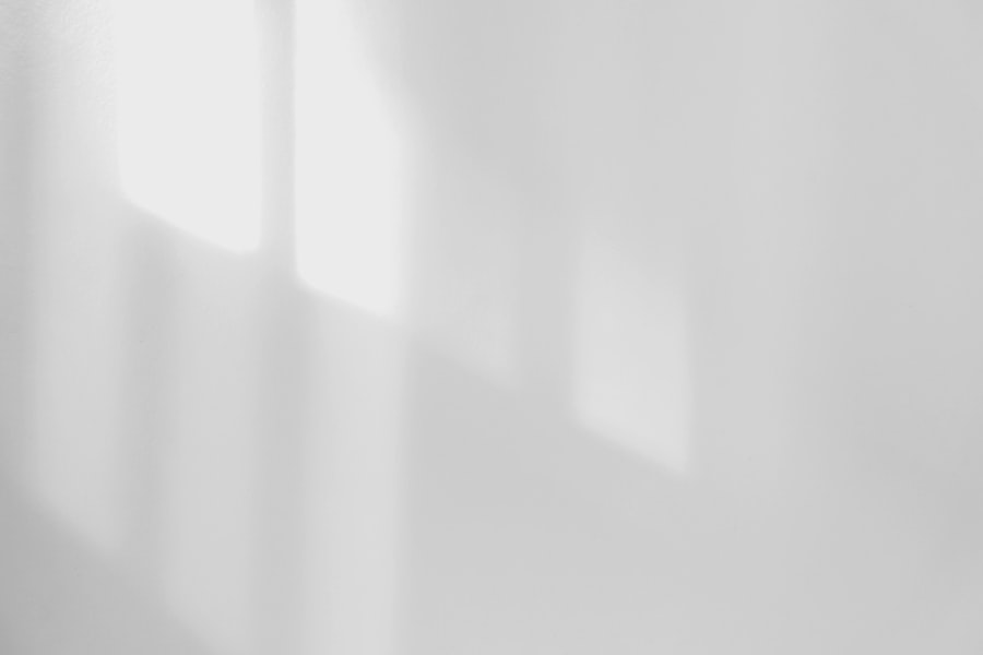 Photo Continuity of Government