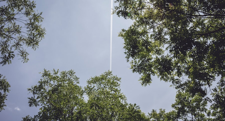 Photo unidentified aerial phenomena evidence