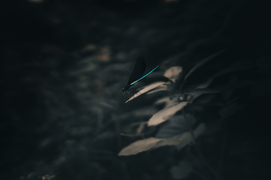 Photo alien presence