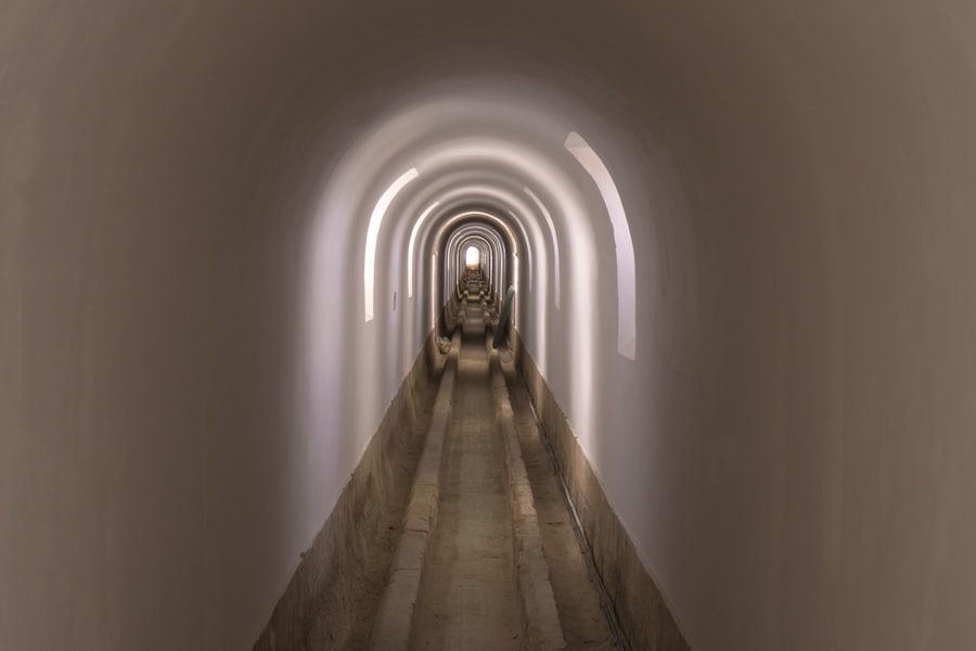 Photo Consciousness trap