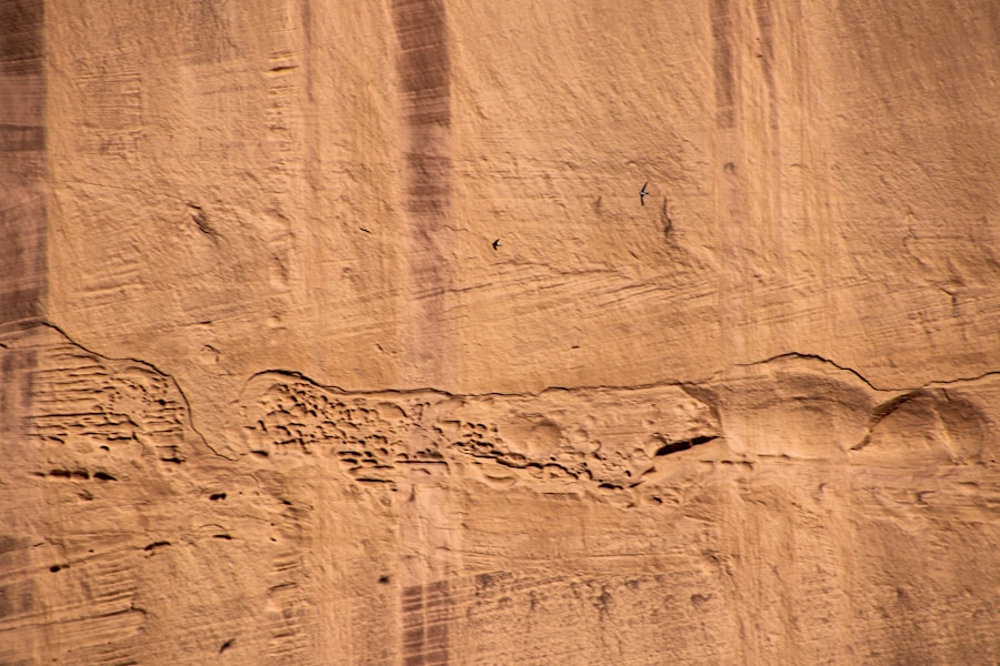 Photo egyptians, grand canyon