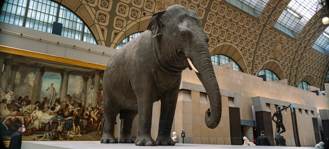 Photo smithsonian denial giants