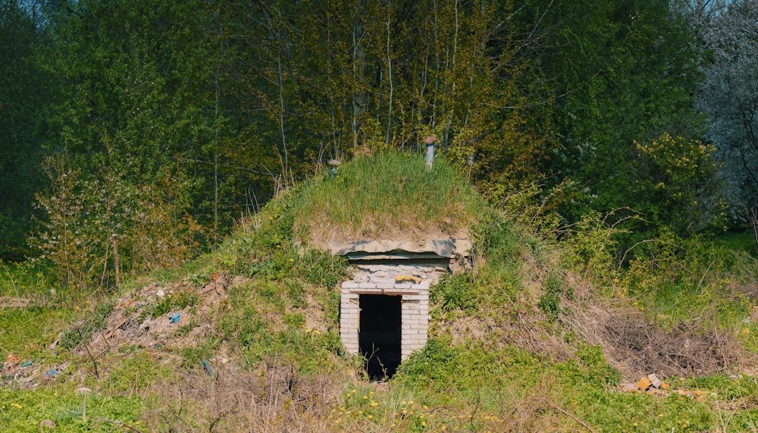 Photo survival bunkers