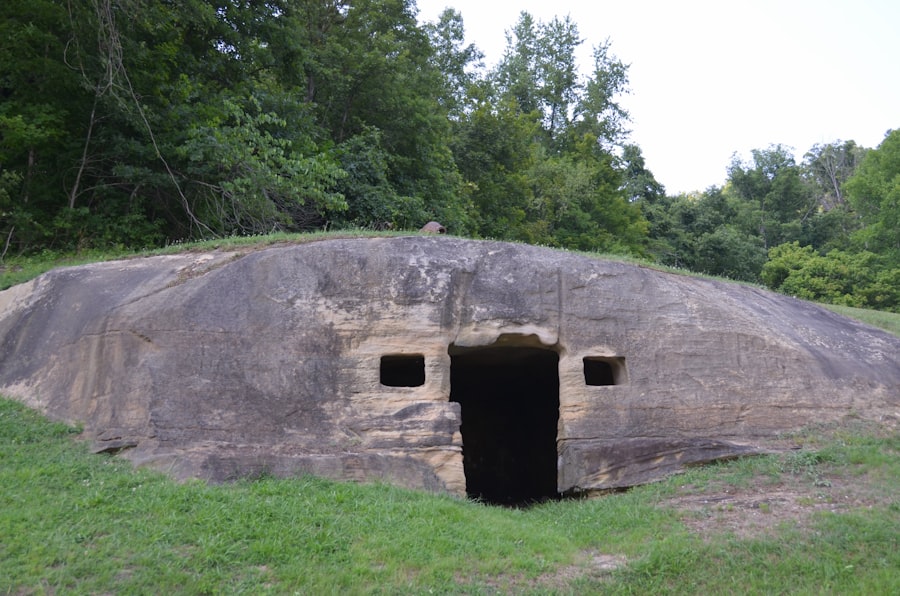 Photo survival bunkers