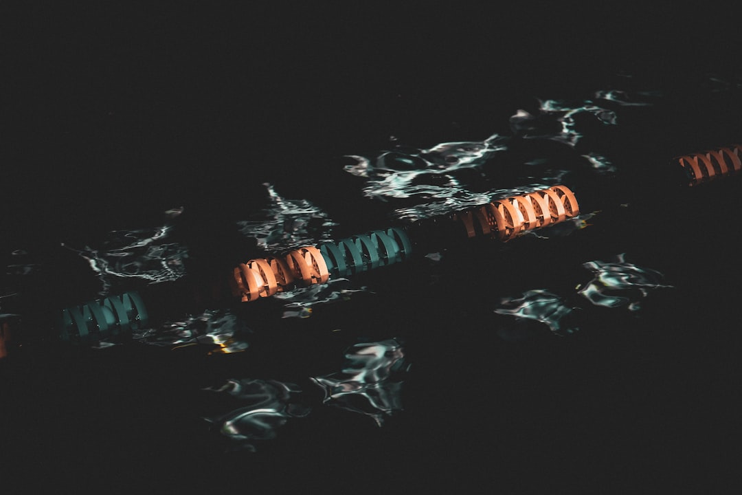 Photo alien factions