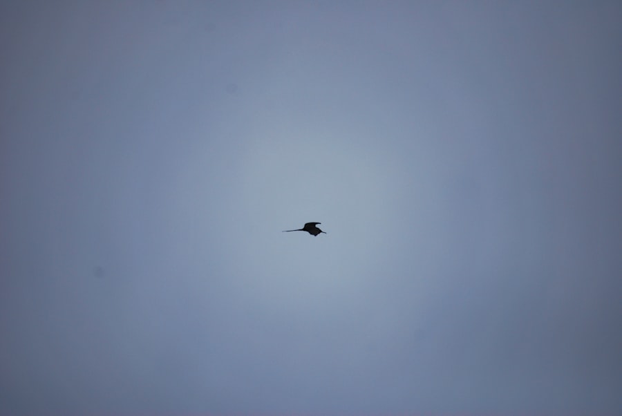 black triangle UFO sightings