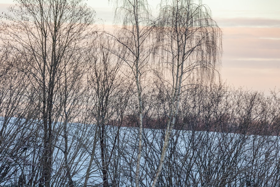 lake vostok signal mystery