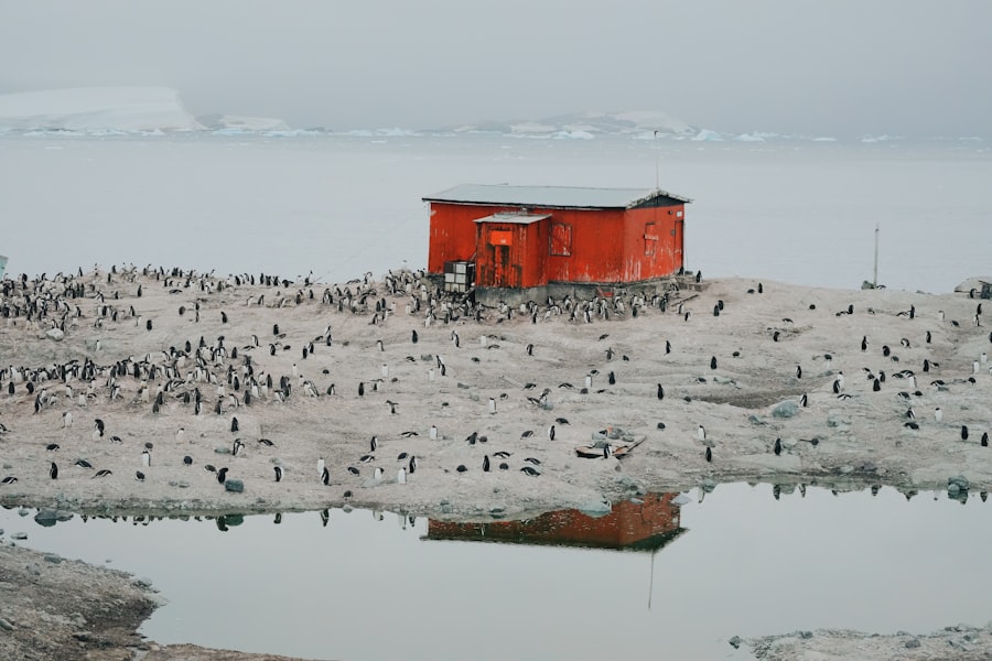 antarctic city documentary