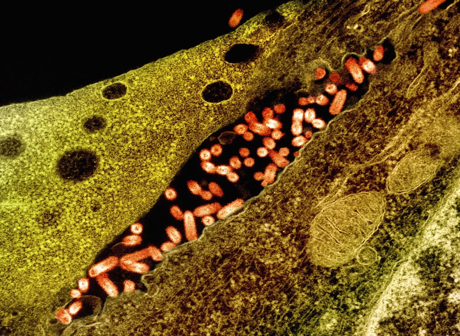 mitochondrial eve extraterrestrial origin