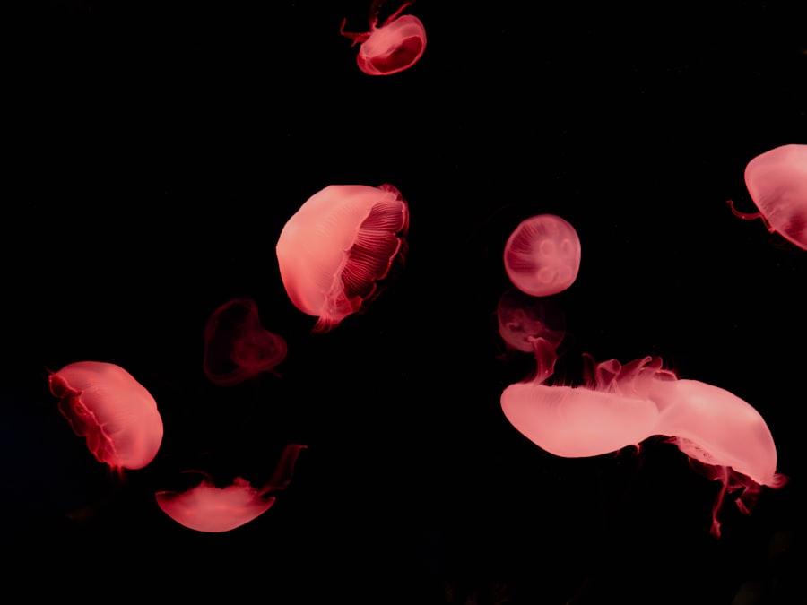 rh negative blood extraterrestrial traits