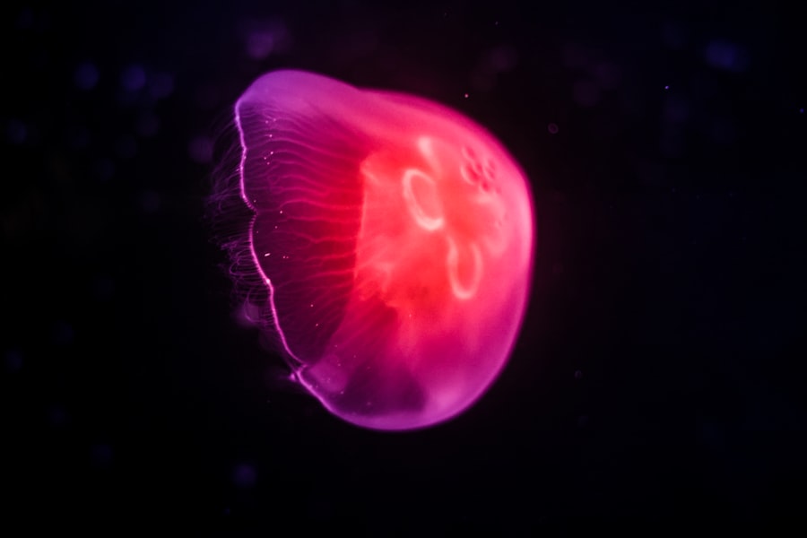 Photo mitochondrial eve extraterrestrial origin