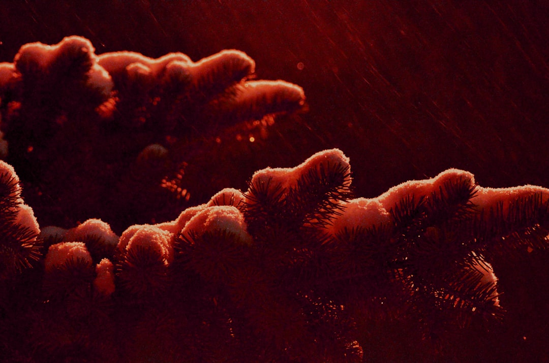 Photo rh negative blood extraterrestrial traits