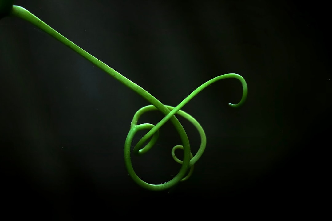 Photo caduceus DNA symbol