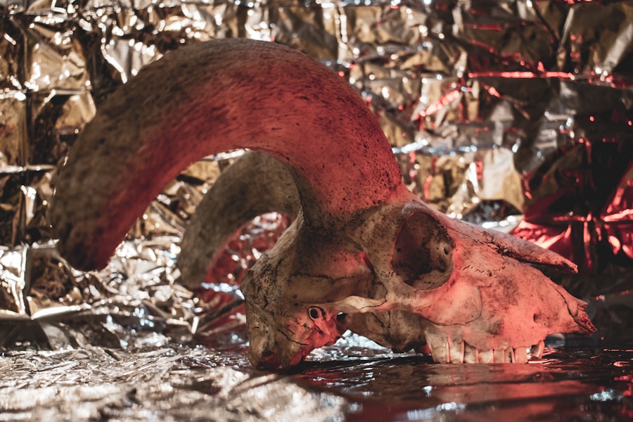 Photo skulls