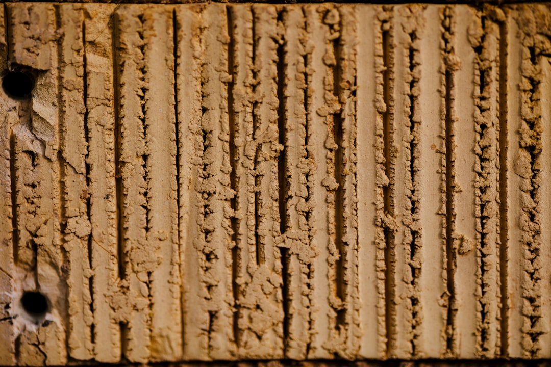 Photo ancient dna mathematical code patterns