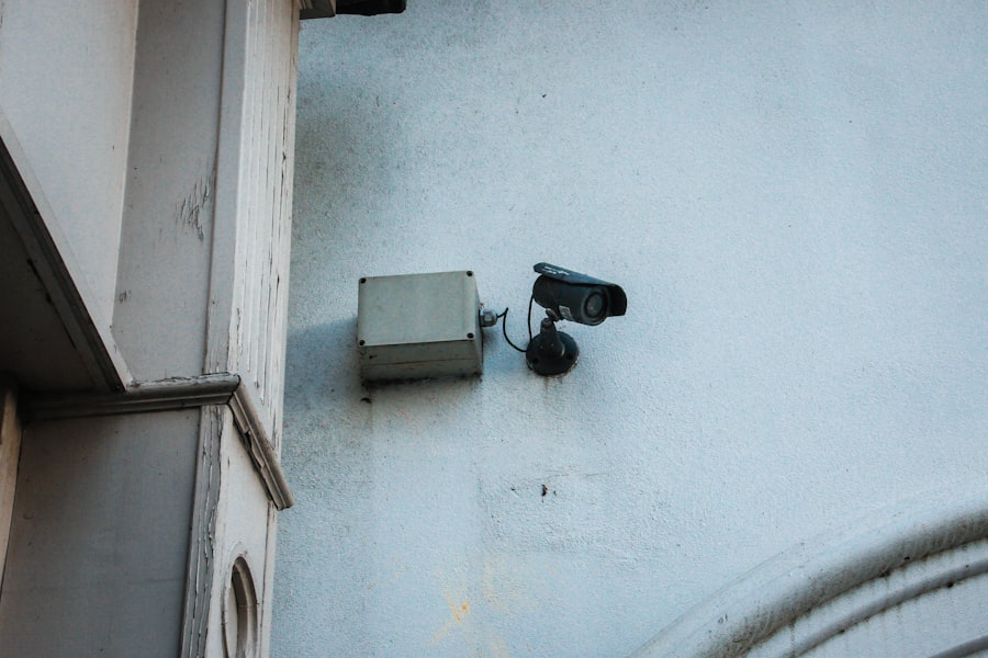 Photo population surveillance