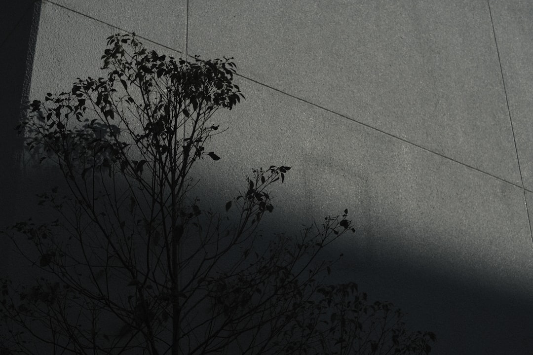 Photo non-terrestrial anomalies