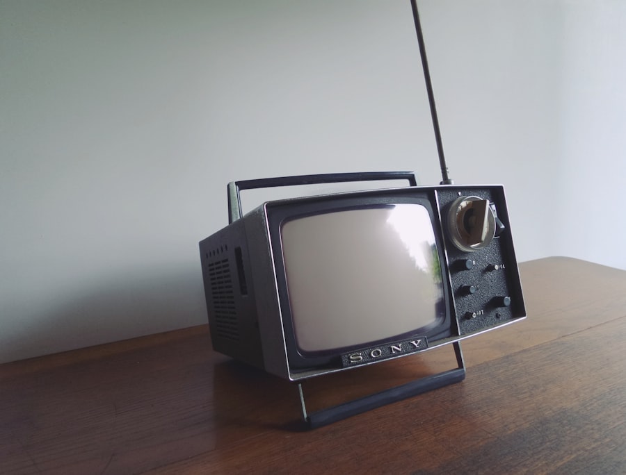 Photo remote viewing program