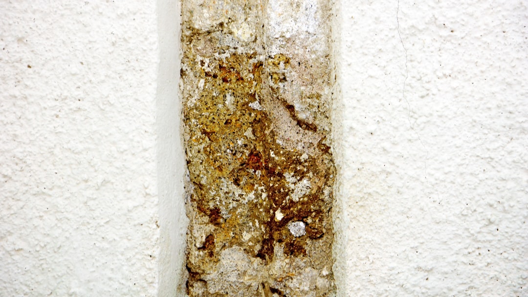 Photo roswell fragment