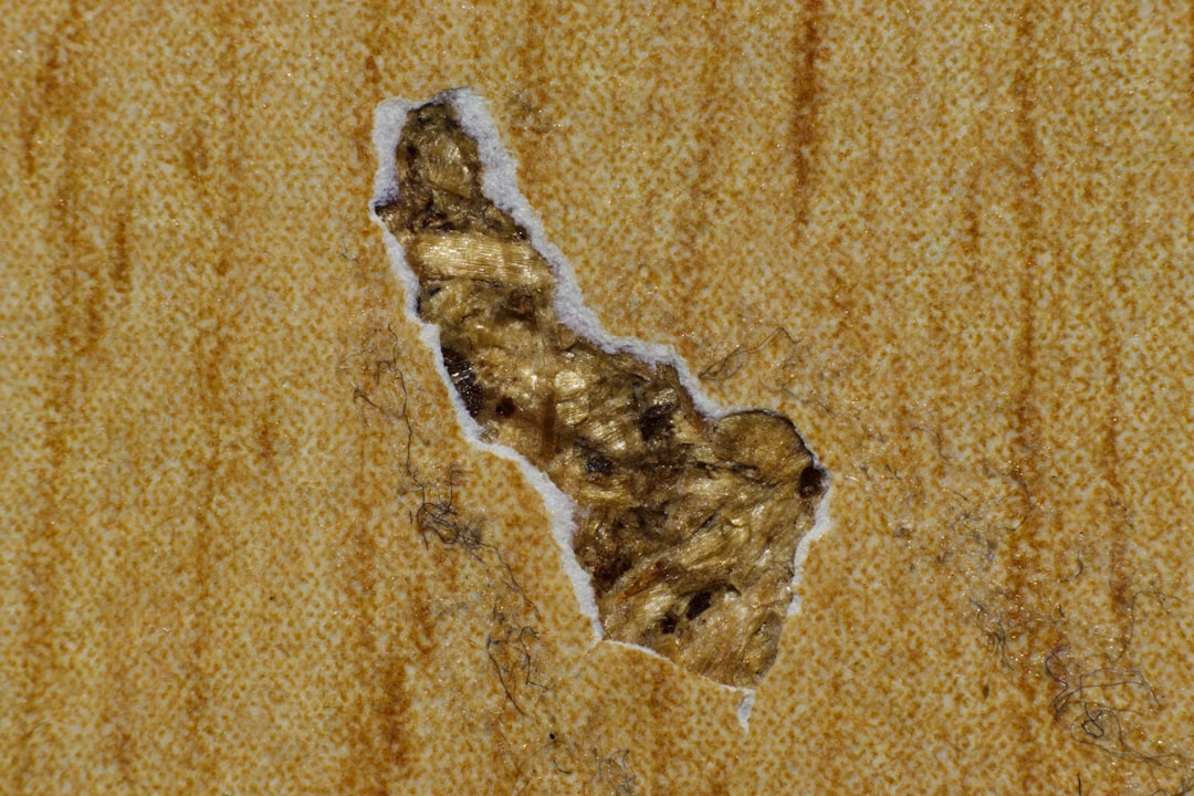 Photo roswell fragment