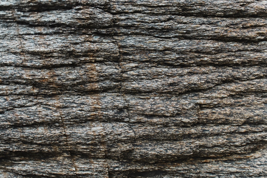 Photo roswell material