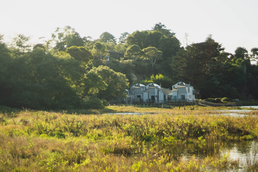 Photo roswell estate discovery