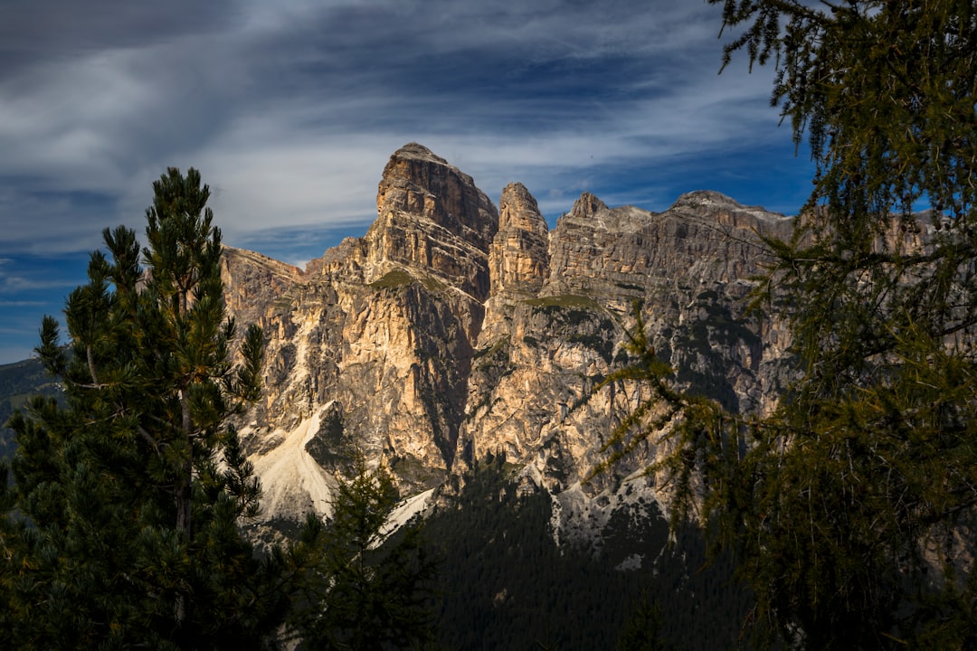 Photo denali national park secrets
