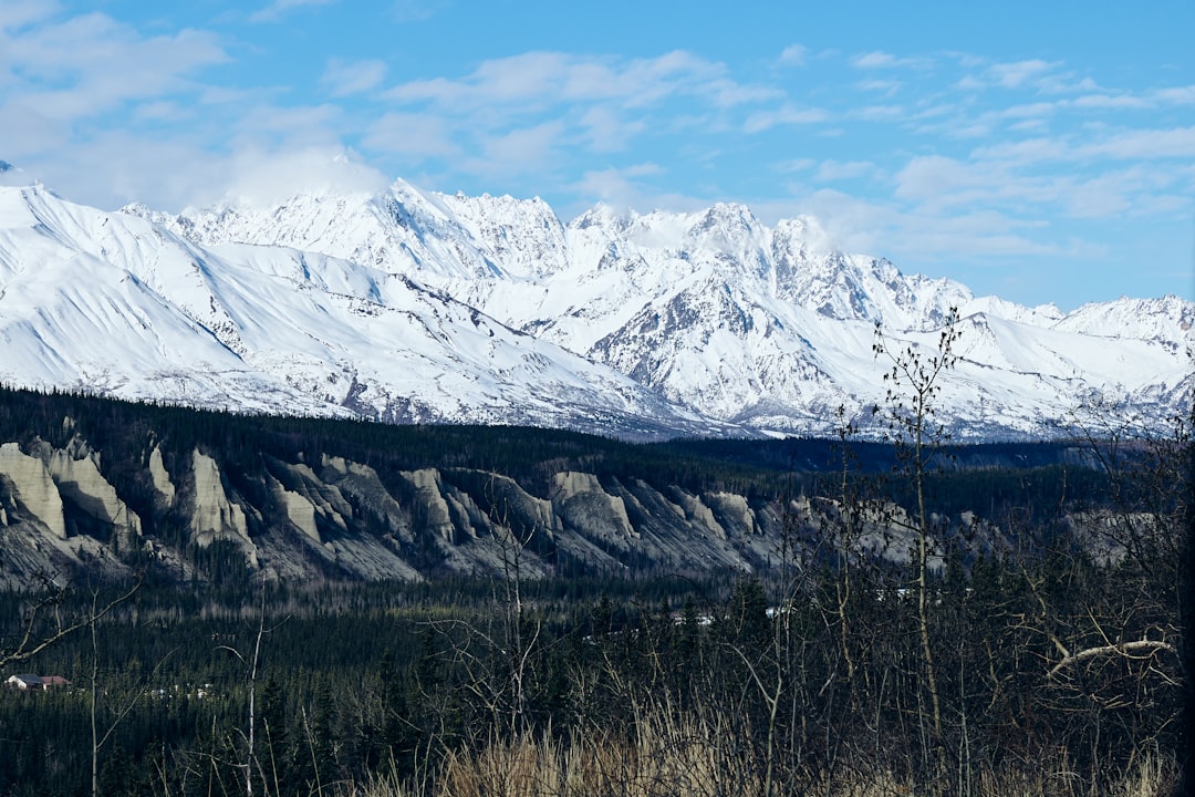 Photo seismic echo nineteen ninety two alaska