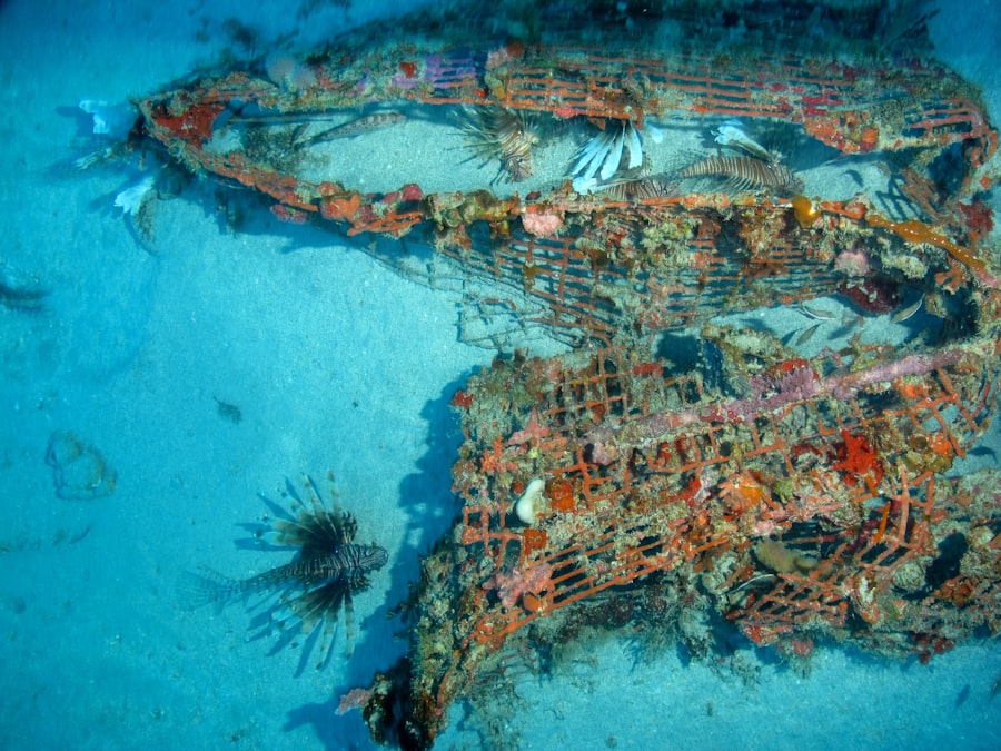Photo antikythera shipwreck discovery