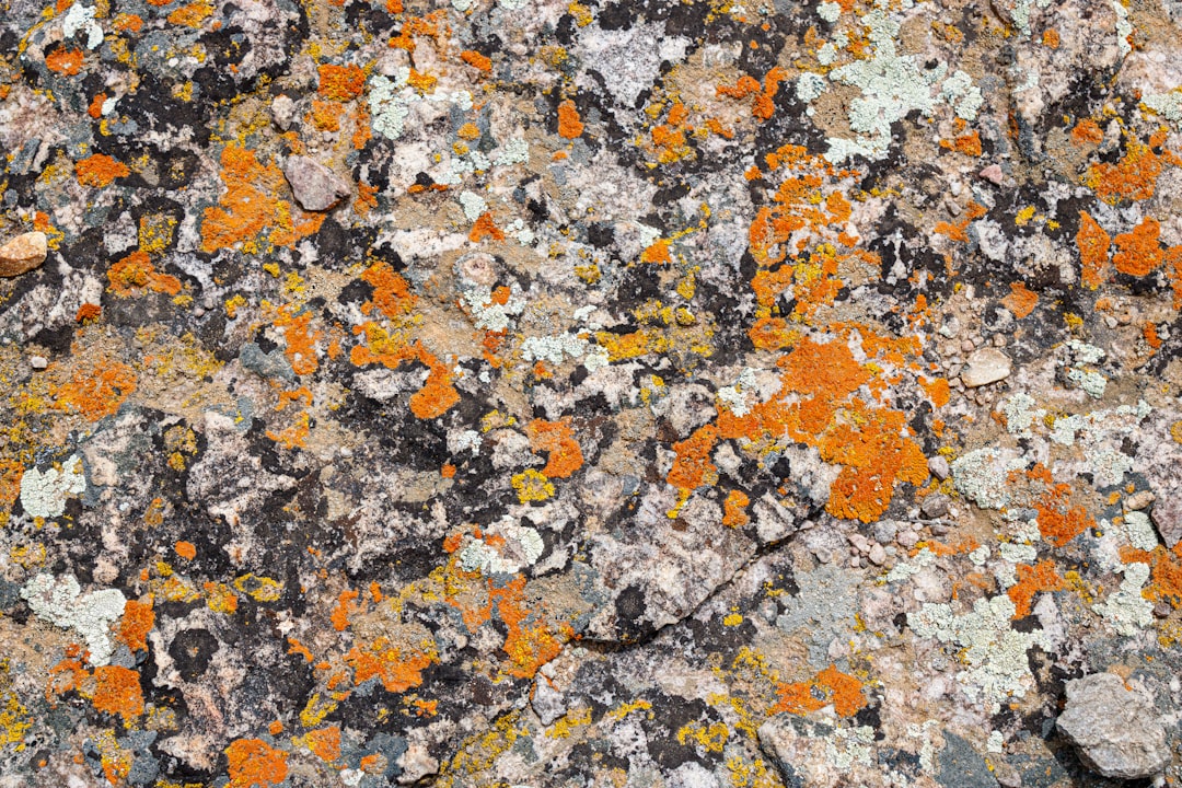 Photo granite composition