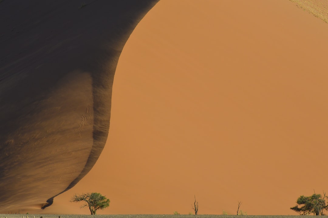 Photo ancient alien civilization