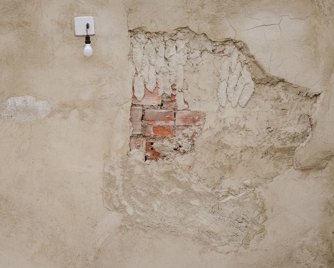 Photo archaeology conspiracy theories