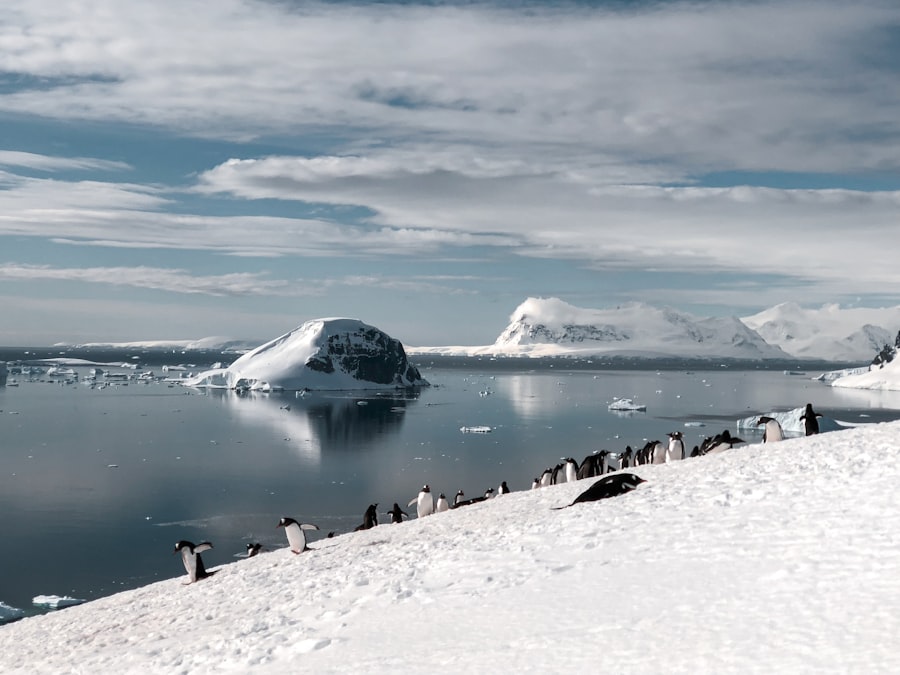 Photo antarctic ice city