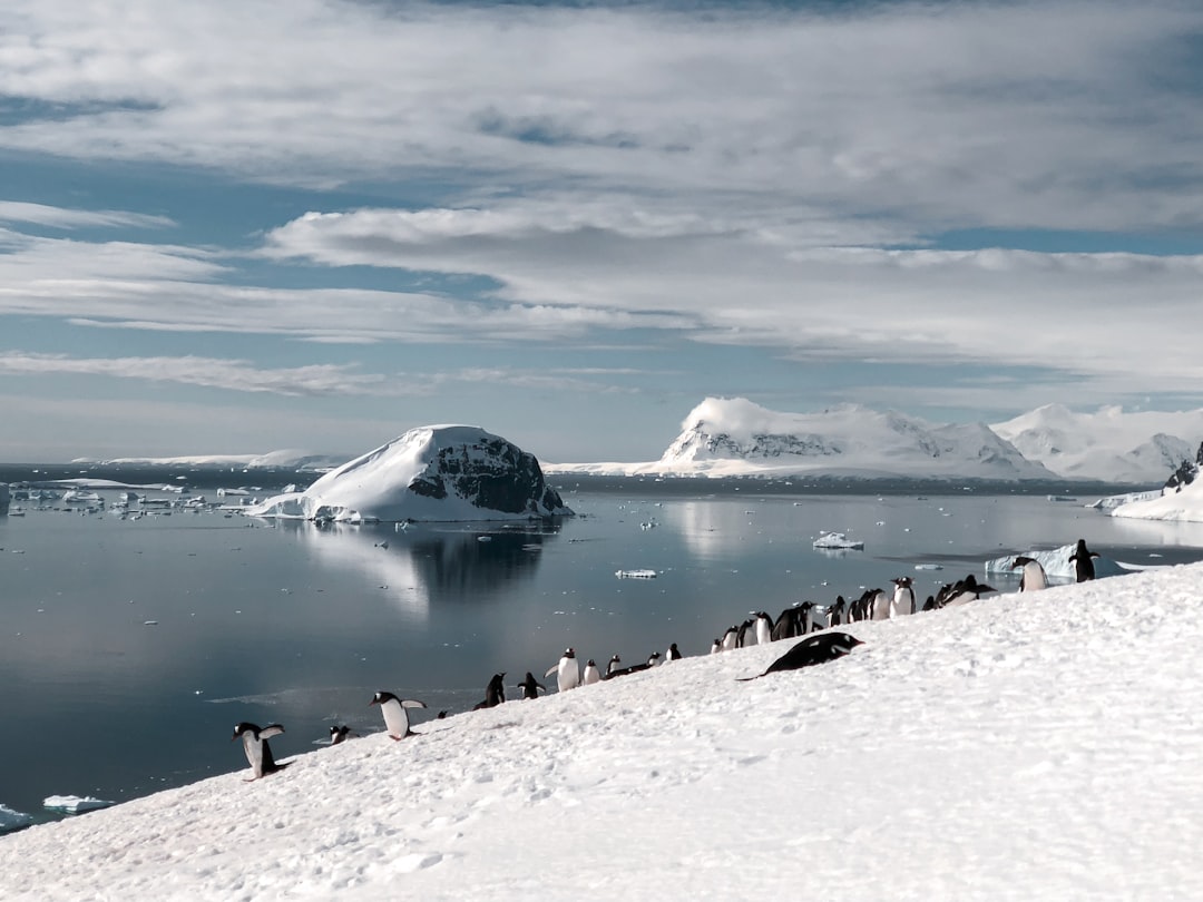 Photo antarctic city