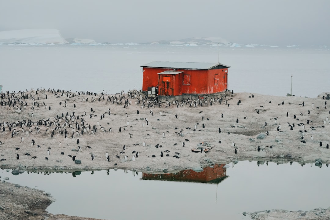Photo antarctic city