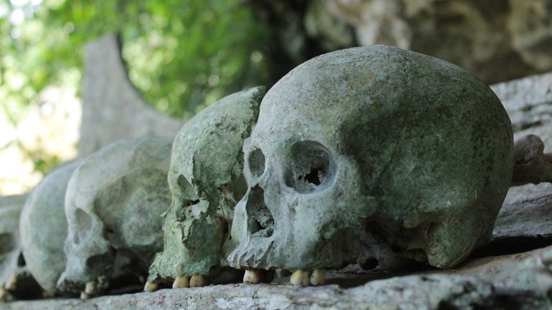 Photo paracas skulls DNA analysis