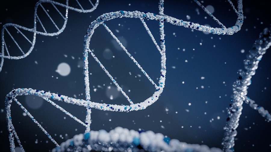 Photo genome