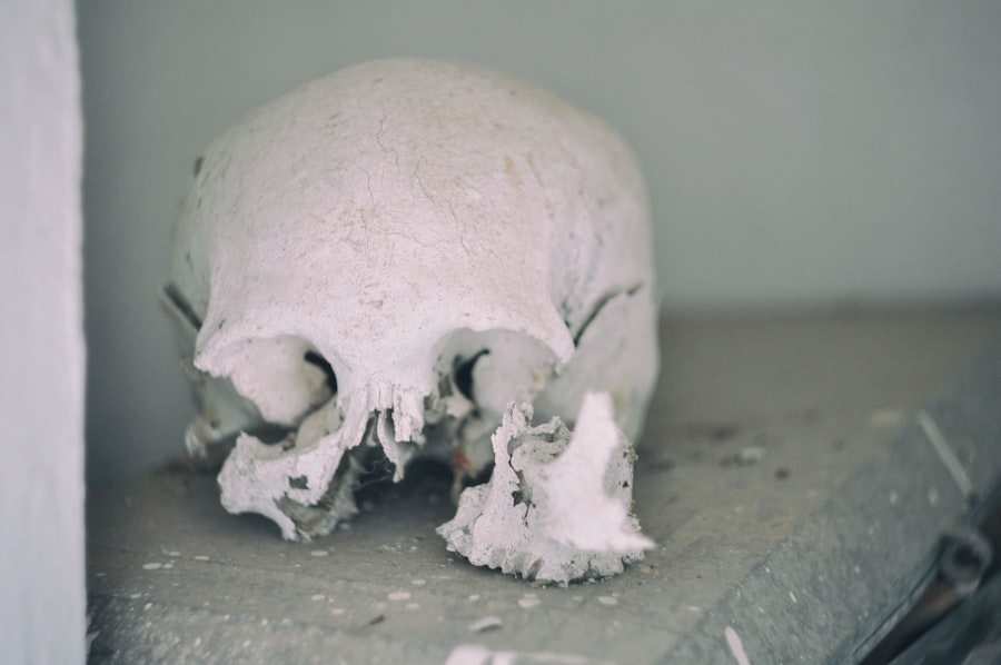 Photo skulls DNA testing