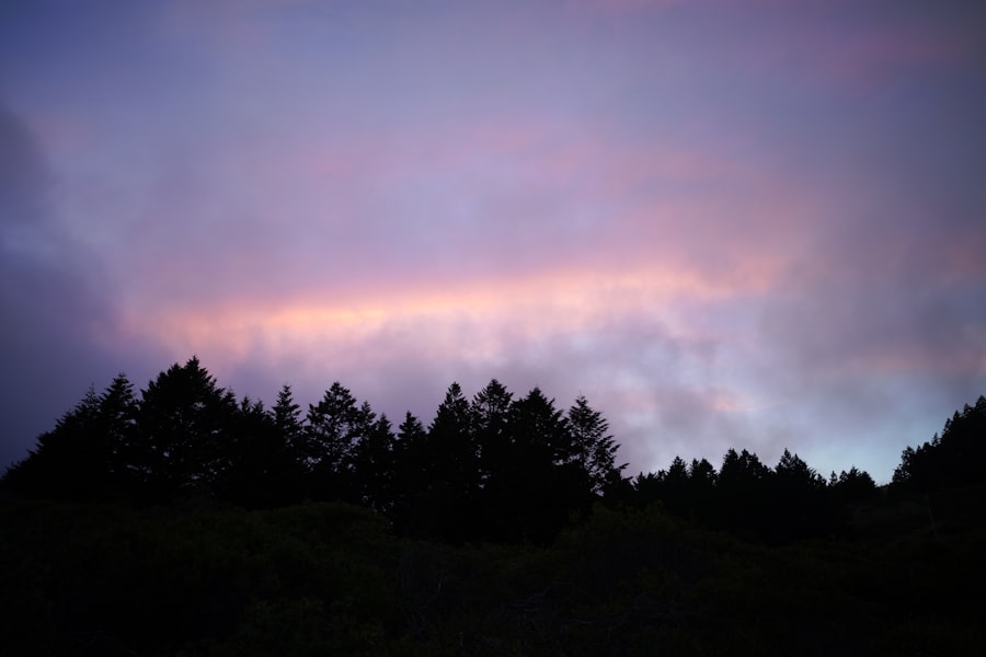 Copper daylight aurora curtain sky