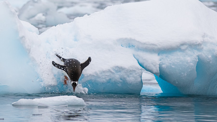 Antarctica