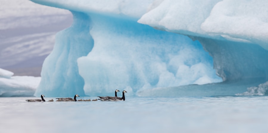Antarctic ice dome