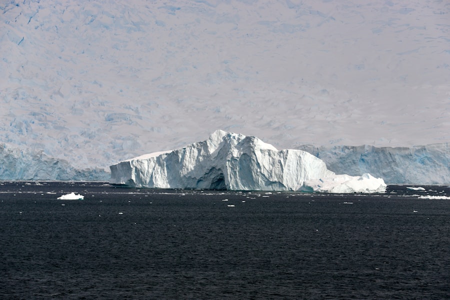Antarctic structure