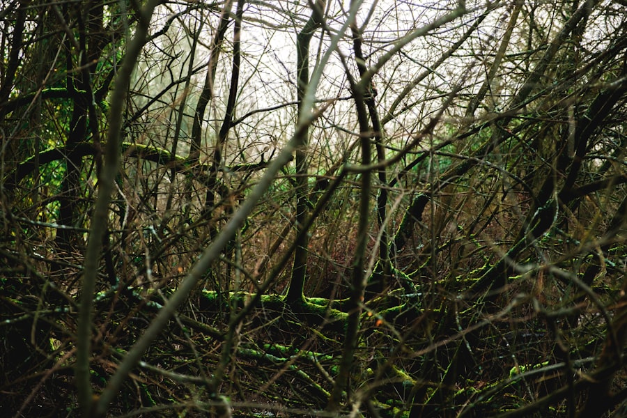 bentwaters woodbridge